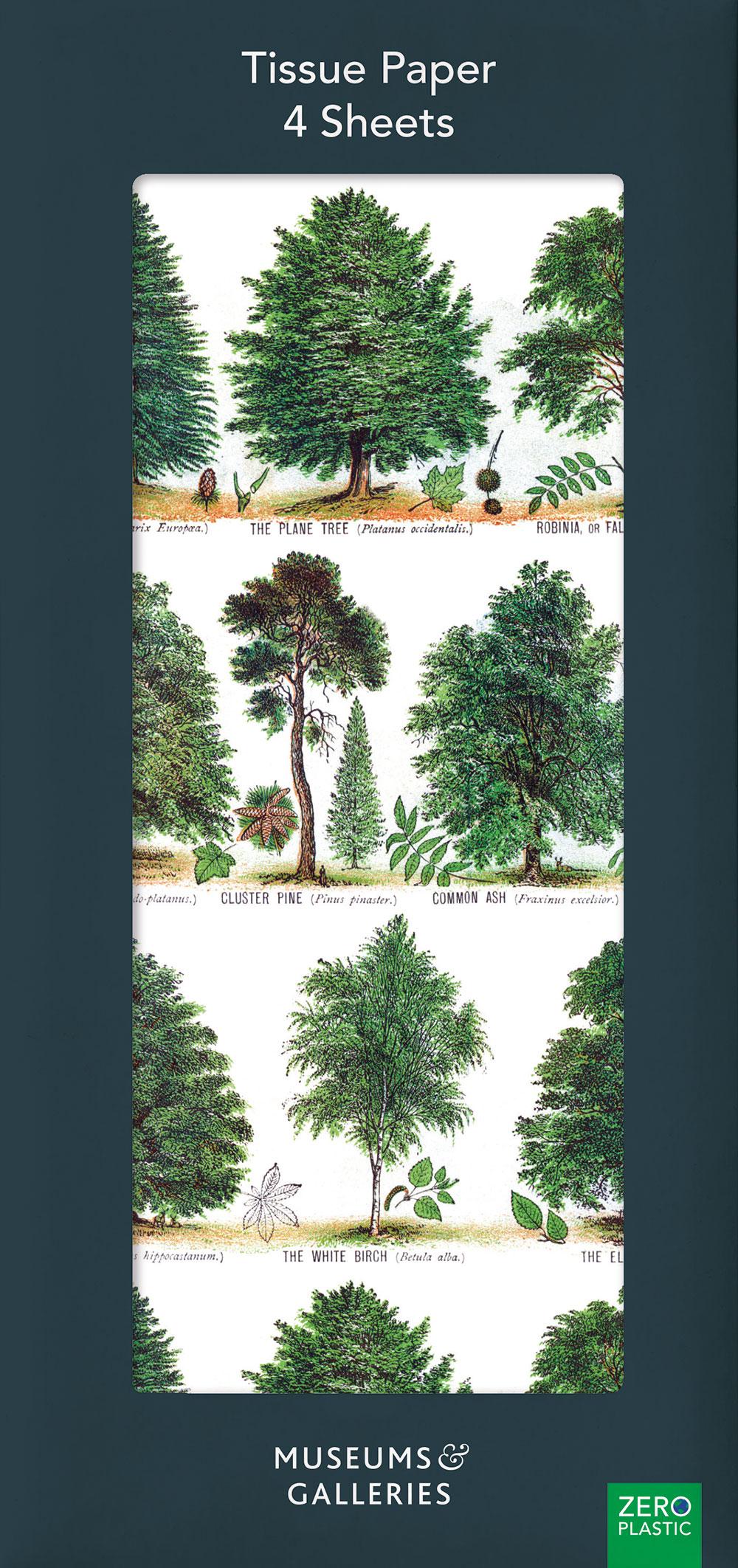 Siidipaberite komplekt Our British Forest Trees, 4tk