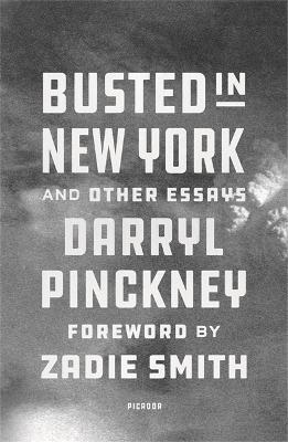 Busted in New York & Other Essays