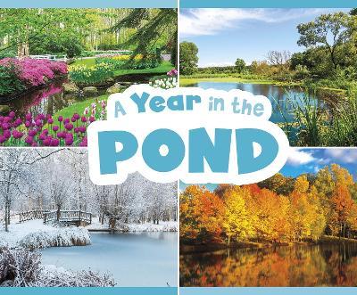 Year in the Pond