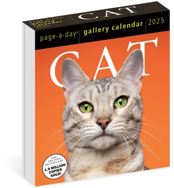 2025 lauakalender Cat (Page-A-Day)