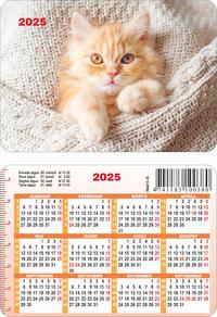 Taskukalender suur 2025