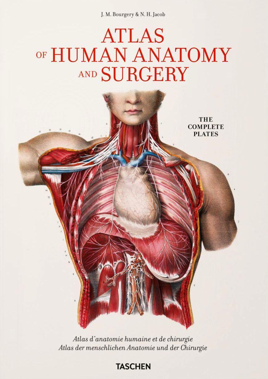 Bourgery: Atlas of Human Anatomy and Surgery
