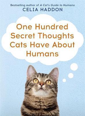 ONE HUNDRED SECRET THOUGHTS CATS HAVE ABOUT HUMANS