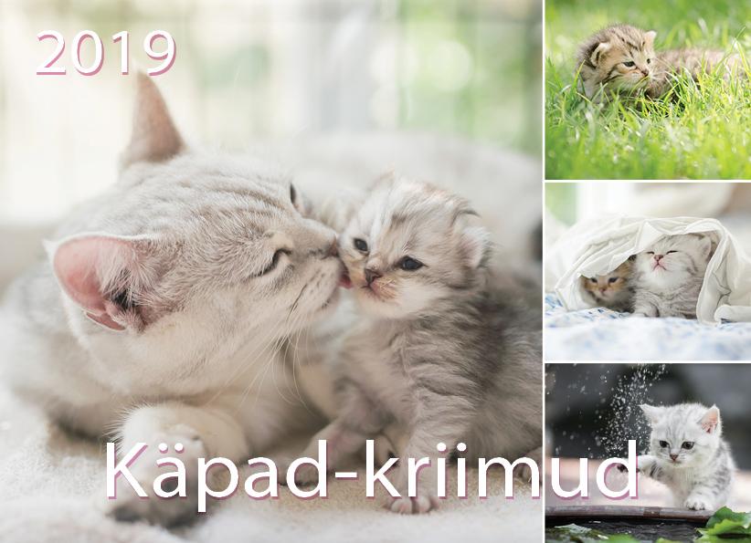 KALENDER KÄPAD-KRIIMUD 2019