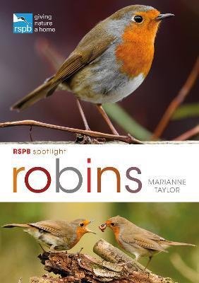 RSPB SPOTLIGHT: ROBINS