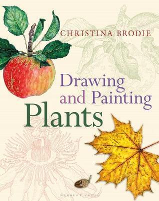 DRAWING AND PAINTING PLANTS
