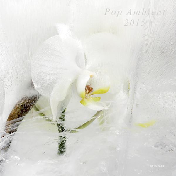 V/A - Pop Ambient 2015 LP+CD