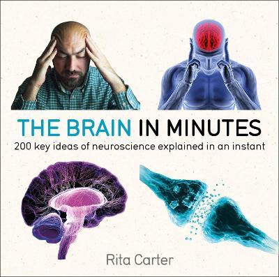 The Brain in Minutes