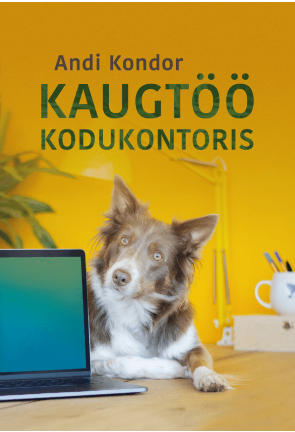 KAUGTÖÖ KODUKONTORIS