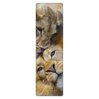 JÄRJEHOIDJA NG, AFRICAN LIONS, 3D