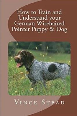 How to Train and Understand Your German Wirehaired Pointer Puppy & Dog