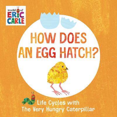 HOW DOES AN EGG HATCH?