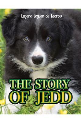 STORY OF JEDD