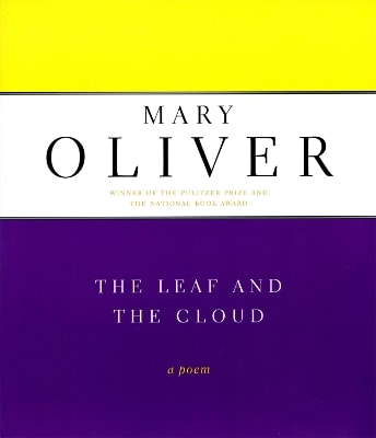 The Leaf And The Cloud