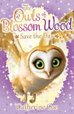 Owls of Blossom Wood: Save the Day