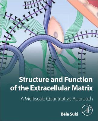 STRUCTURE AND FUNCTION OF THE EXTRACELLULAR MATRIX