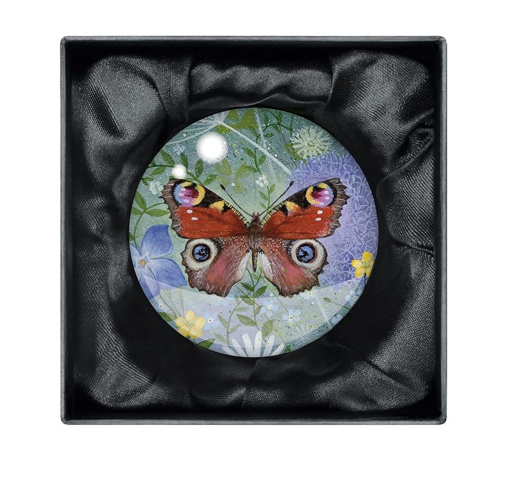 Paberiraskus Peacock Butterfly