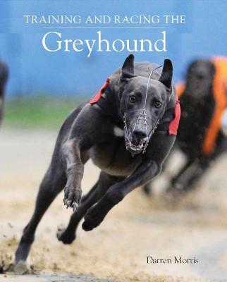 Training and Racing the Greyhound