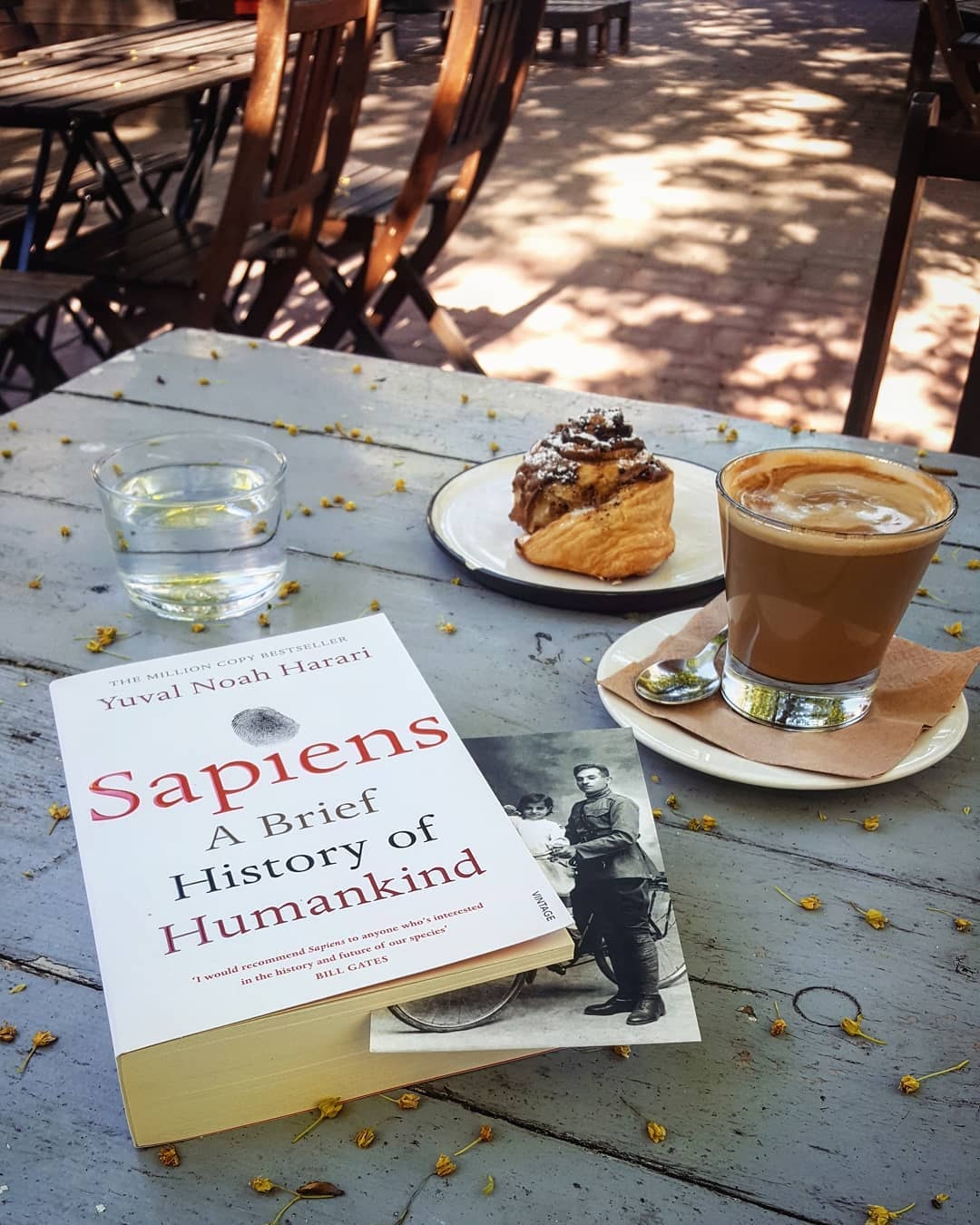 Sapiens: A Brief History of Humankind