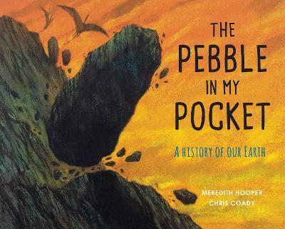 PEBBLE IN MY POCKET