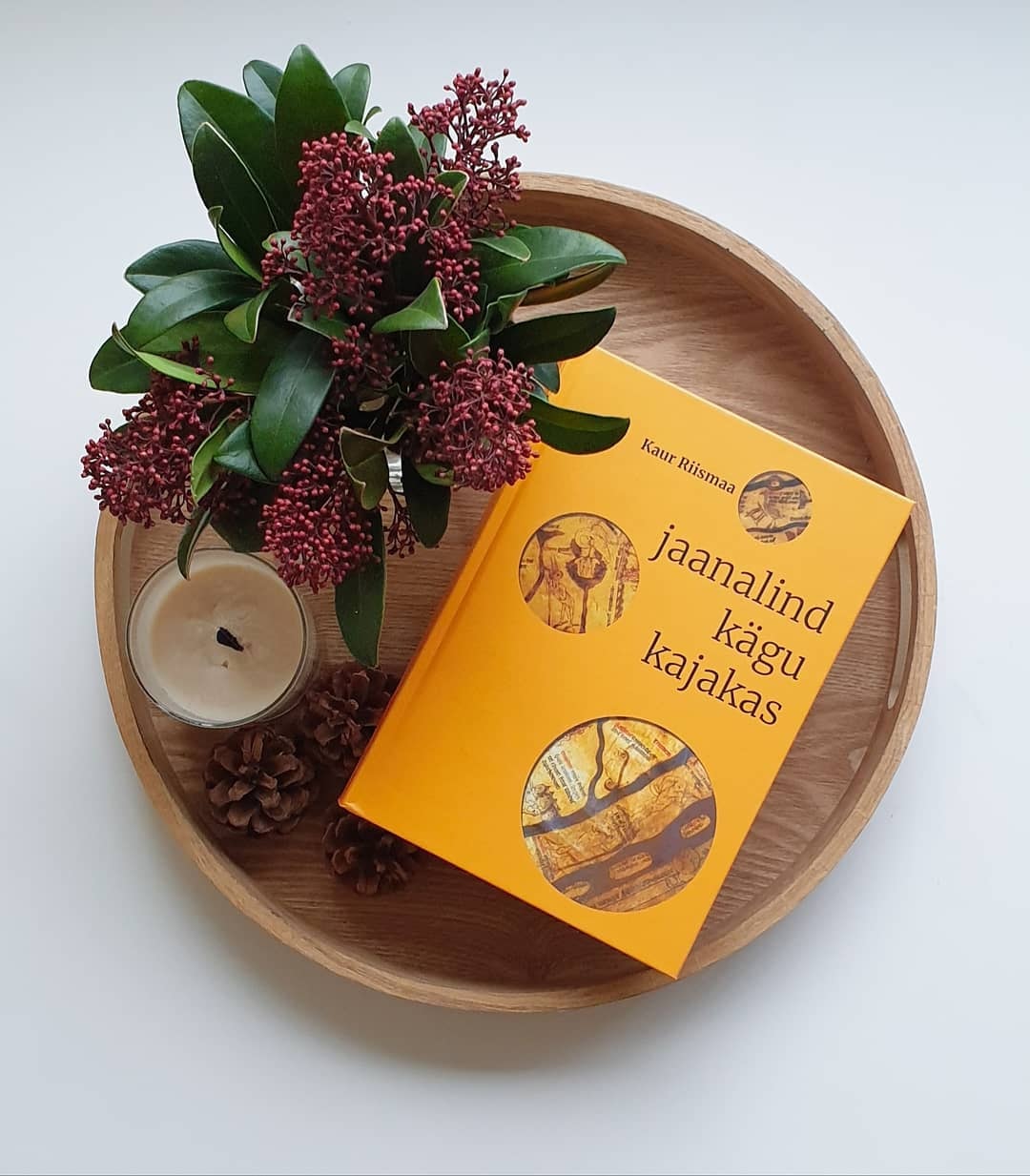 JAANALIND, KÄGU, KAJAKAS