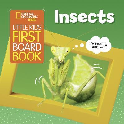 LITTLE KIDS FIRST BOARD BOOK INSECTS