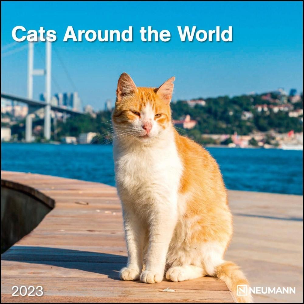 2023 seinakalender Cats Around the World, 30x30cm
