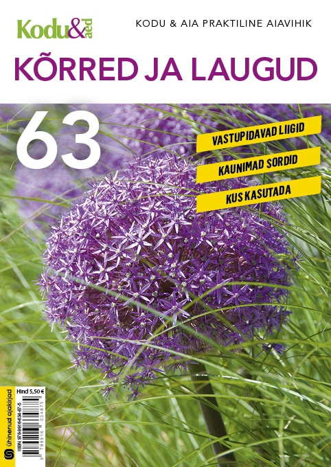 KÕRRED JA LAUGUD. KODU & AIA PRAKTILINE AIAVIHIK 63
