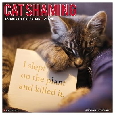 Cat Shaming 2024 12 X 12 Wall Calendar