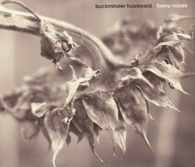 BUCKMINSTER FUZEBOARD - FUNNY NOISES CD