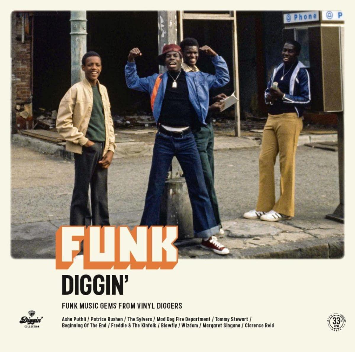 Various Artists - Funk Diggin' (2023) LP