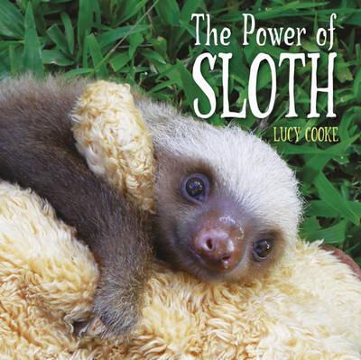 POWER OF SLOTH