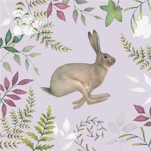 Õnnitluskaart Vintage Garden, Hare