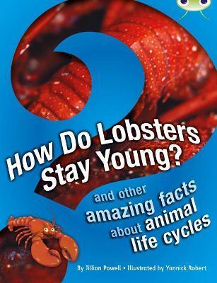 BUG CLUB INDEPENDENT NON FICTION YEAR 3 BROWN A HOW DO LOBSTERS STAY YOUNG?