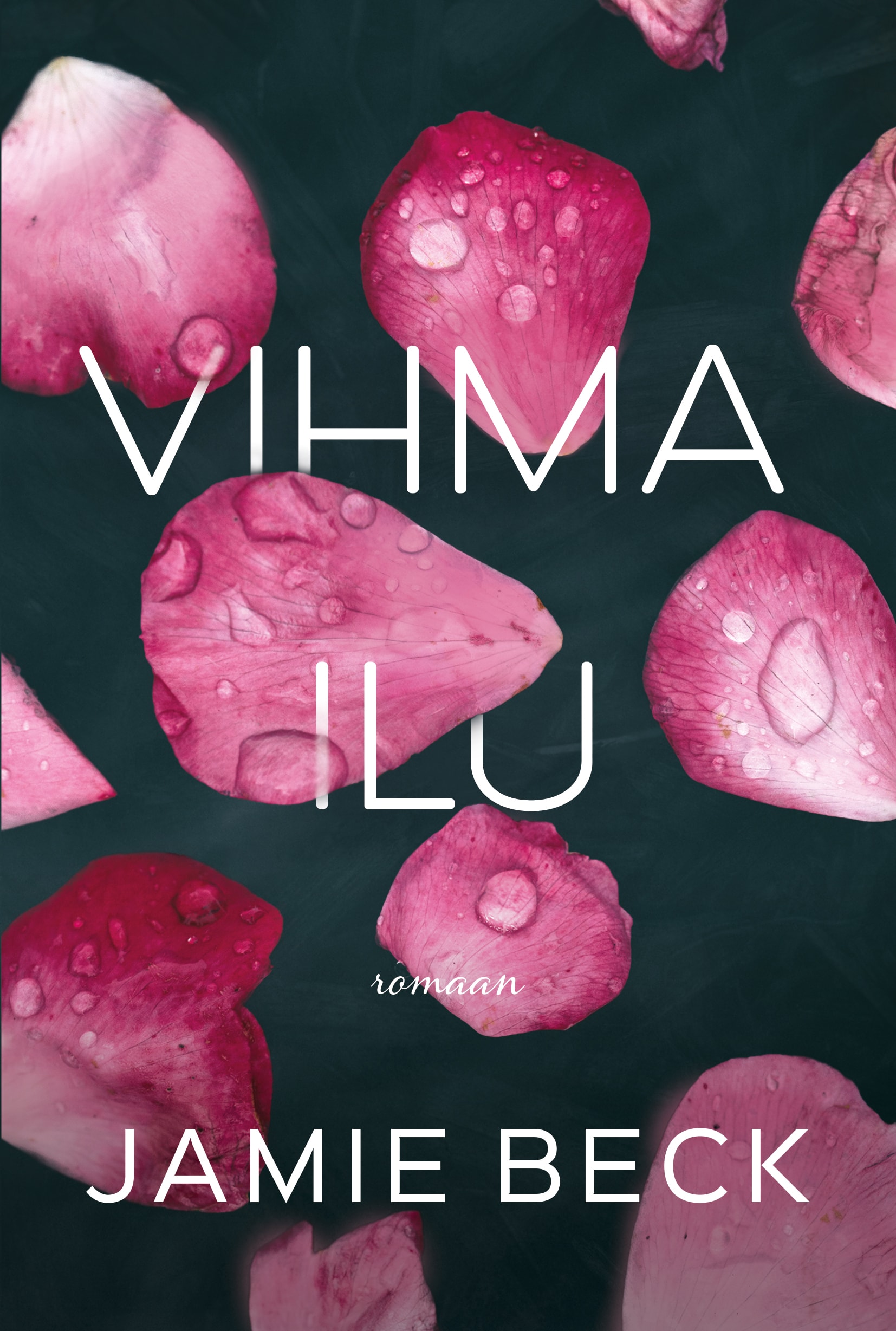 Vihma ilu