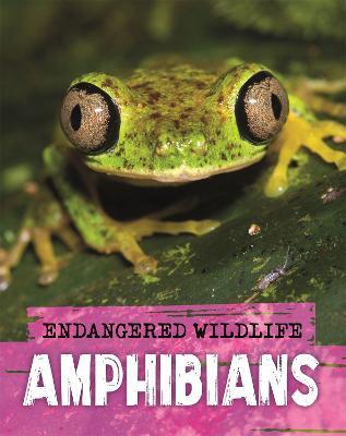 Endangered Wildlife: Rescuing Amphibians