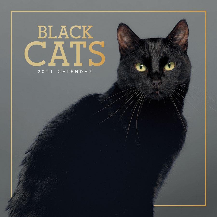2021 Seinakalender Black Cats
