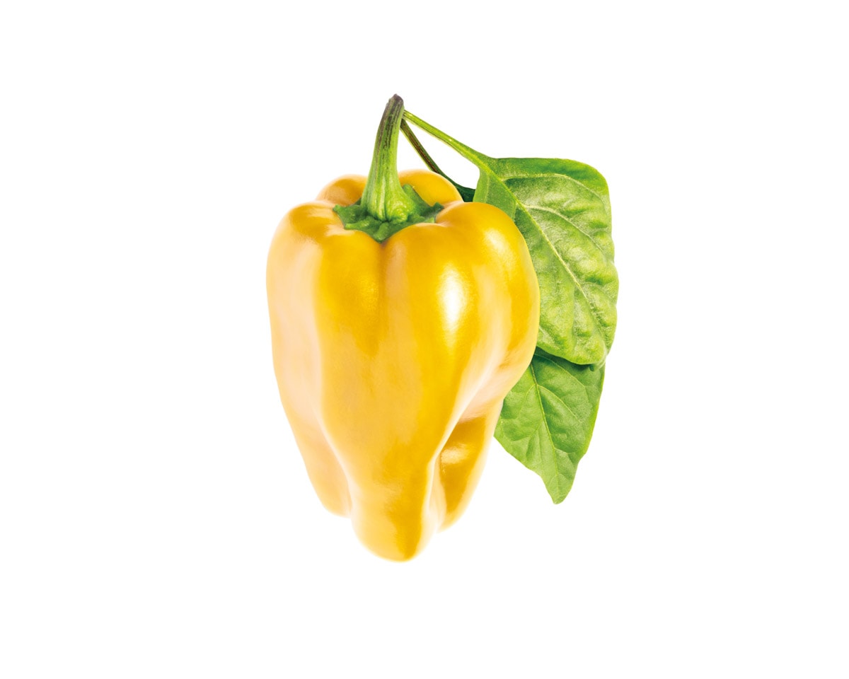 Click & Grow: 3 taimekassetti, kollane paprika
