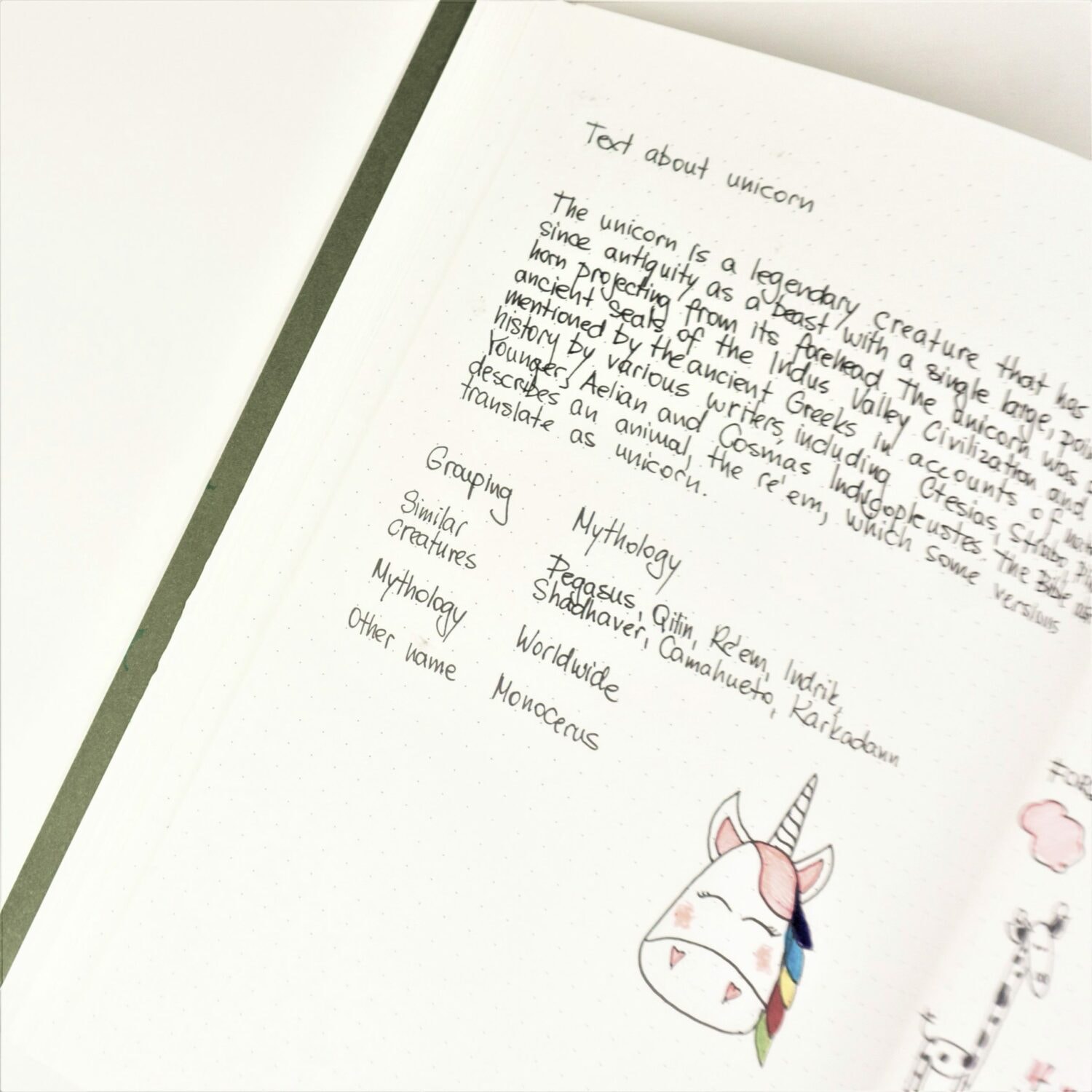 Seik A4 vihik Energy Givers (spiraaliga)