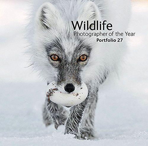 Wildlife Photographer of the Year: Portfolio 27
