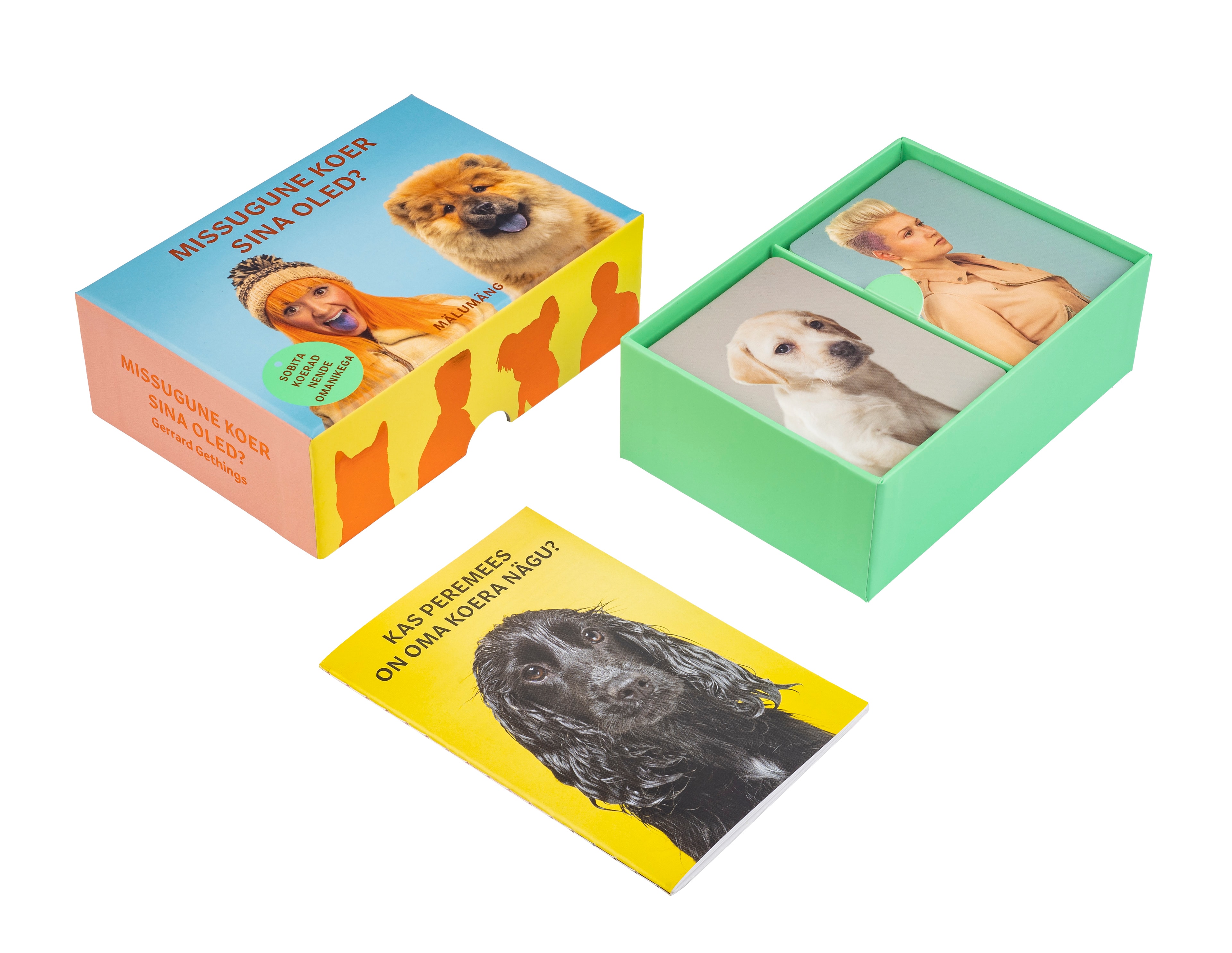 KAARDIMÄNG MISSUGUNE KOER SINA OLED?