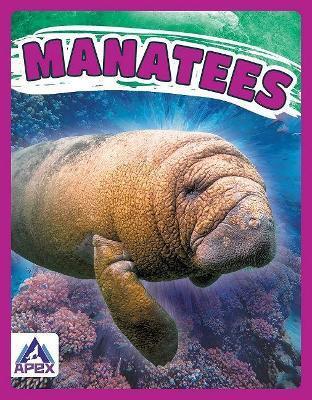 GIANTS OF THE SEA: MANATEES