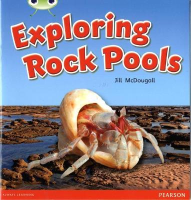 Bug Club Guided Non Fiction Year 1 Green C Exploring Rock Pools