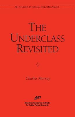 Underclass Revisited