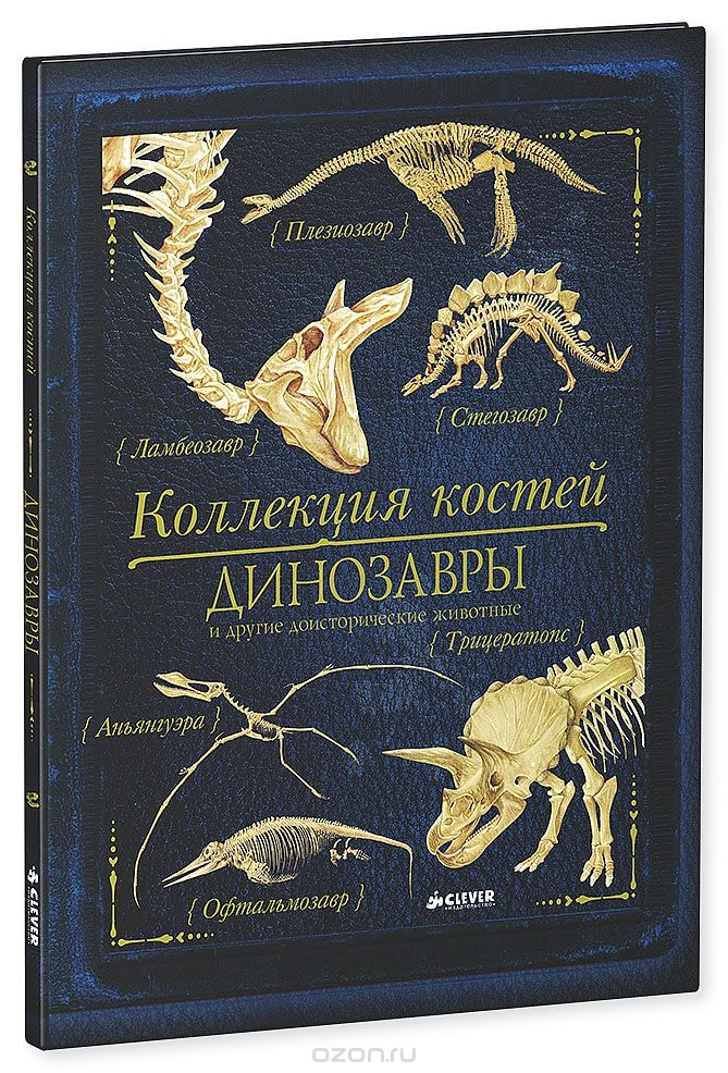 КОЛЛЕКЦИЯ КОСТЕЙ. ДИНОЗАВРЫ И ДРУГИЕ ДОИСТОРИЧЕСКИЕ ЖИВОТНЫЕ