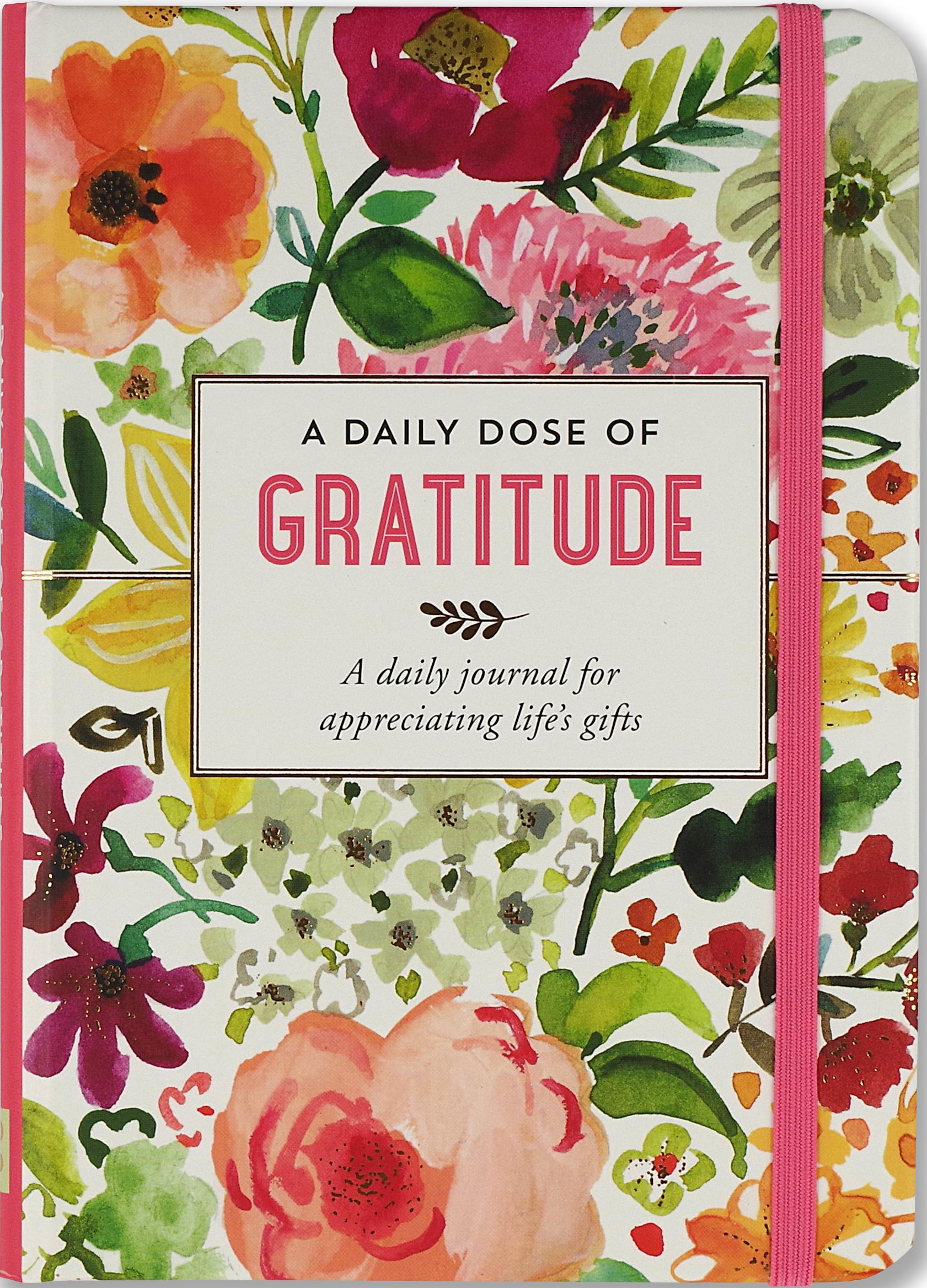 Päevaraamat a Daily Dose of Gratitude