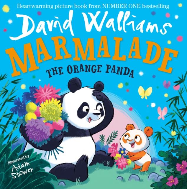 Marmelade: The Orange Panda