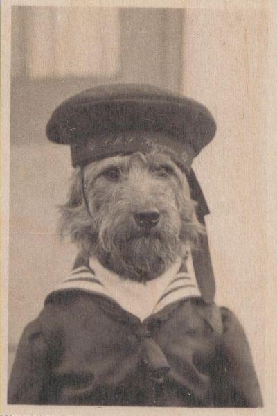 PUIDUST POSTKAART HMS DOG