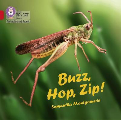 Buzz, Hop, Zip! Big Book