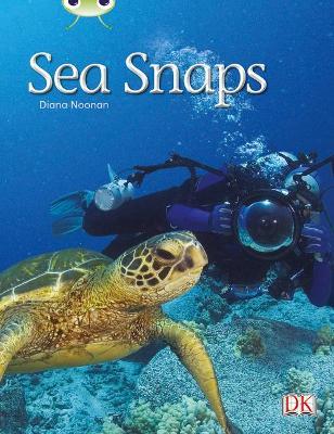 Bug Club Independent Non Fiction Year 1 Green A Sea Snaps